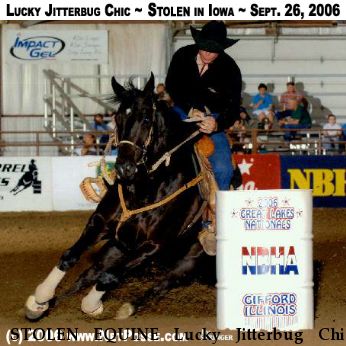 STOLEN EQUINE Lucky Jitterbug Chic, Near Manchester, IA, 00000